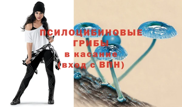 герыч Арсеньев