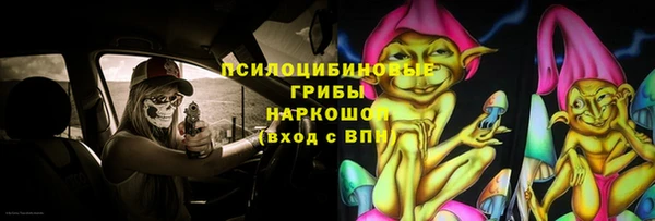 герыч Арсеньев