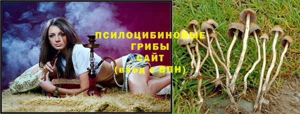 ешки Аркадак