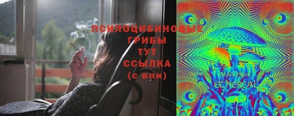 ешки Аркадак