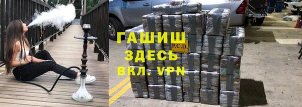 ешки Аркадак