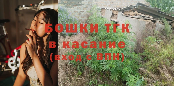 ешки Аркадак